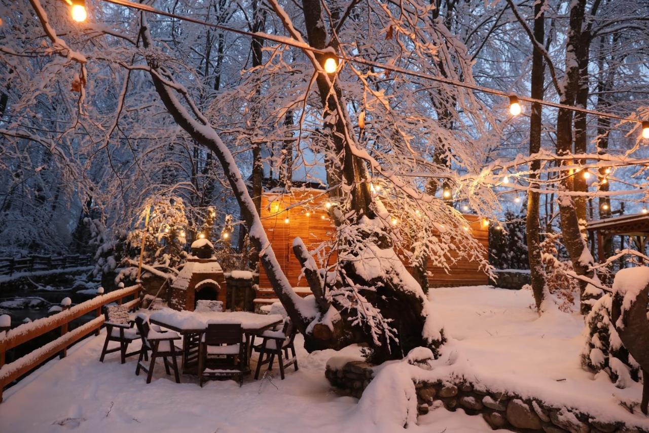 De La Villa Brezovica Zewnętrze zdjęcie