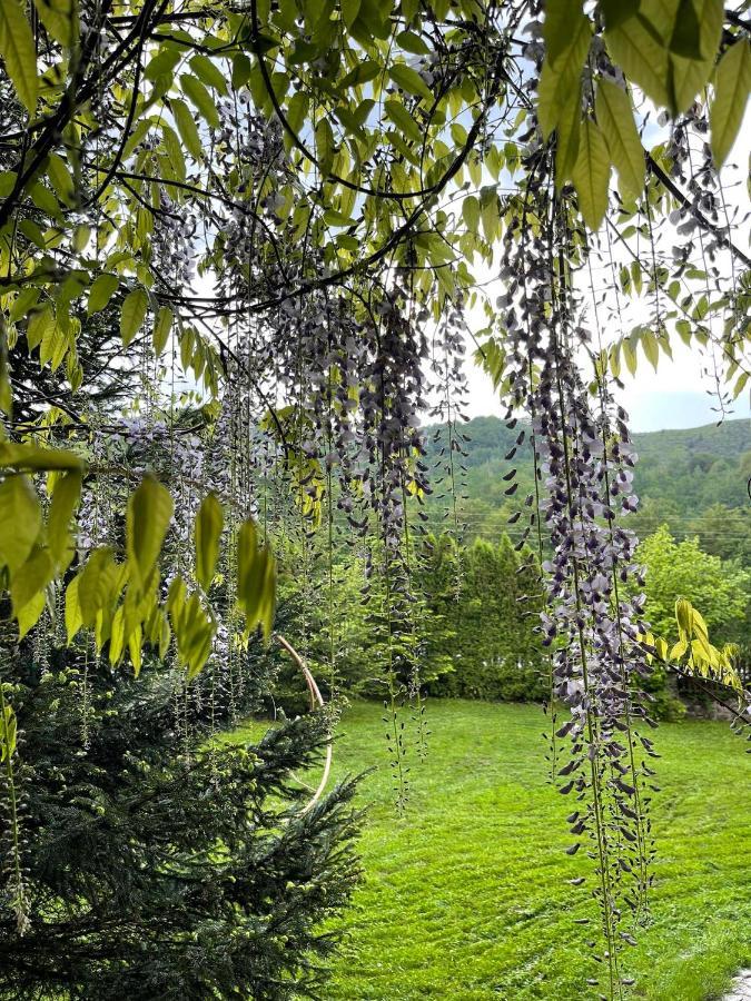 De La Villa Brezovica Zewnętrze zdjęcie